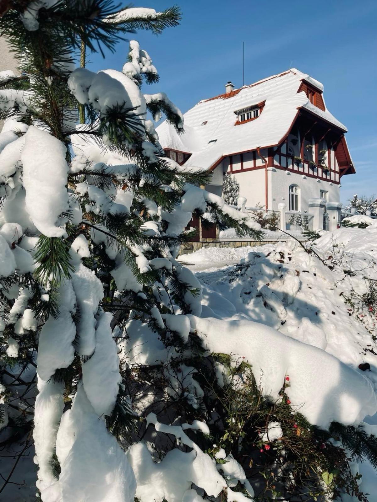 Ubytovani Javorka Ceska Trebova Exterior foto
